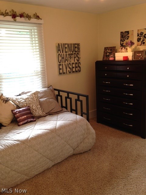 Castle Park Allotment - Residential