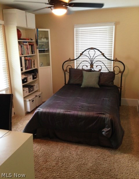 Castle Park Allotment - Residential