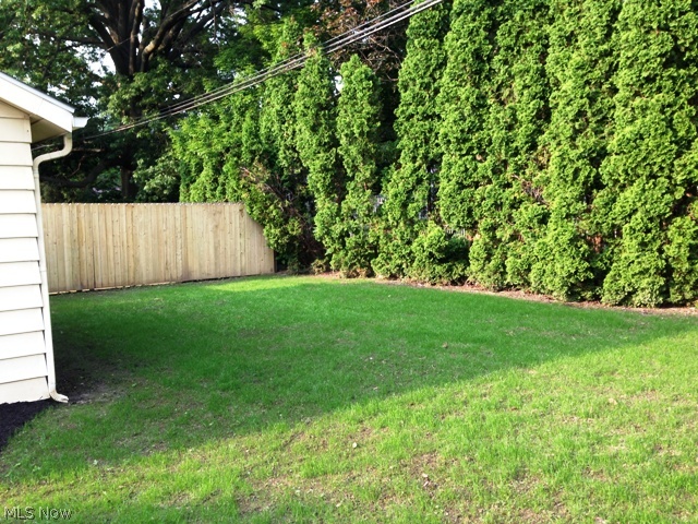 Castle Park Allotment - Residential