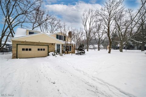 Tiny photo for 1531 Burlington Road, University Heights, OH 44118 (MLS # 5188119)