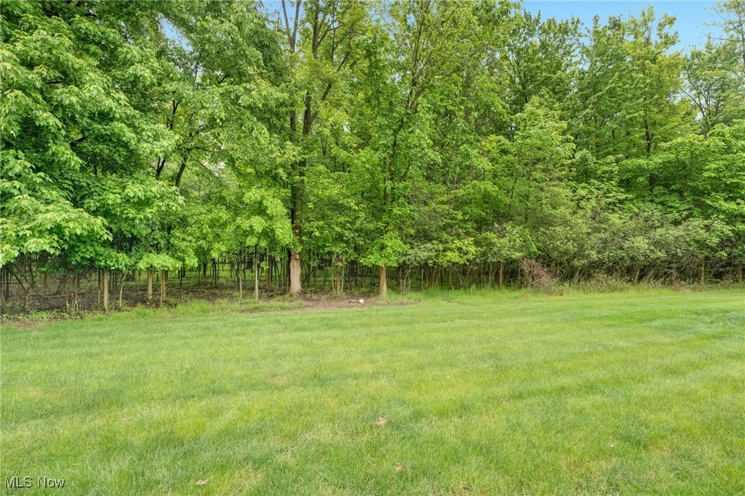 3527 Perry Court, Lorain, Ohio image 34