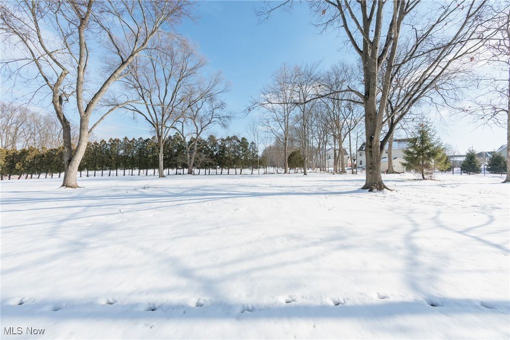 Photo of 4127 Huffman Road, Medina, OH 44256 (MLS # 5177148)