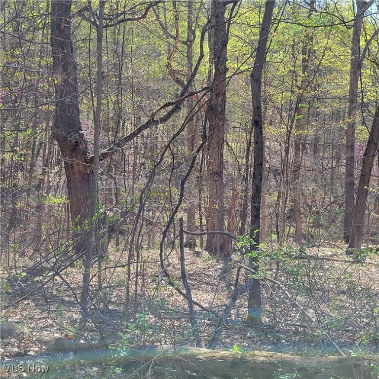 54780 Opossum Run Road #17,259,260, Senecaville, Ohio image 11