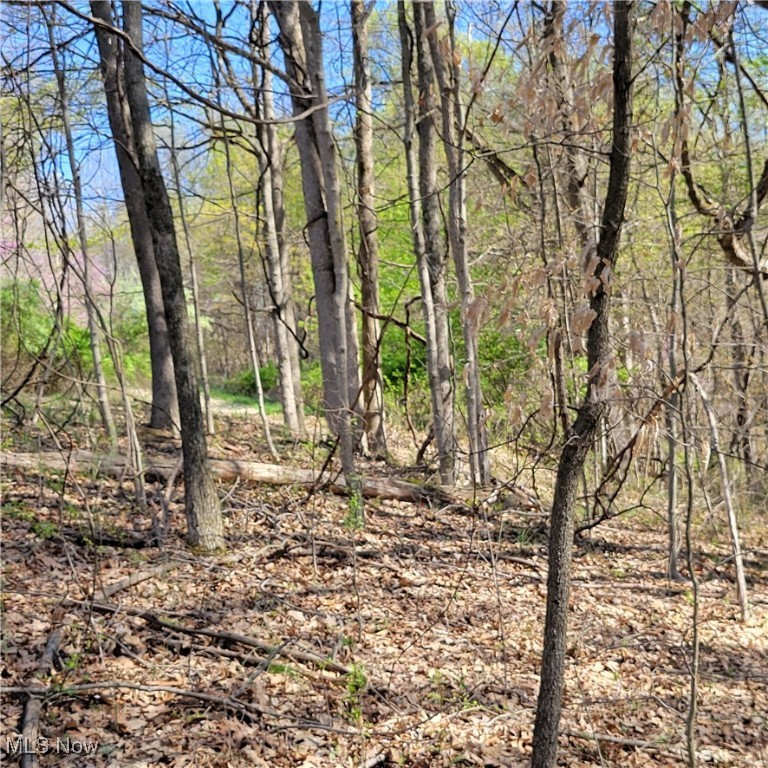 54780 Opossum Run Road #17,259,260, Senecaville, Ohio image 1