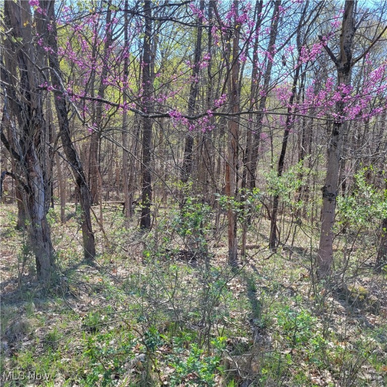 54780 Opossum Run Road #17,259,260, Senecaville, Ohio image 16