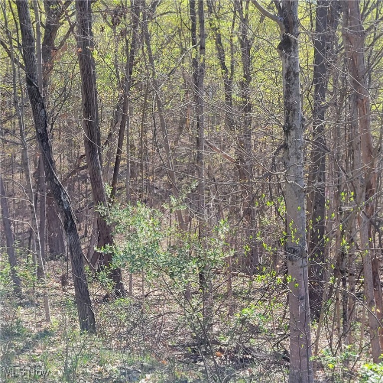 54780 Opossum Run Road #17,259,260, Senecaville, Ohio image 9