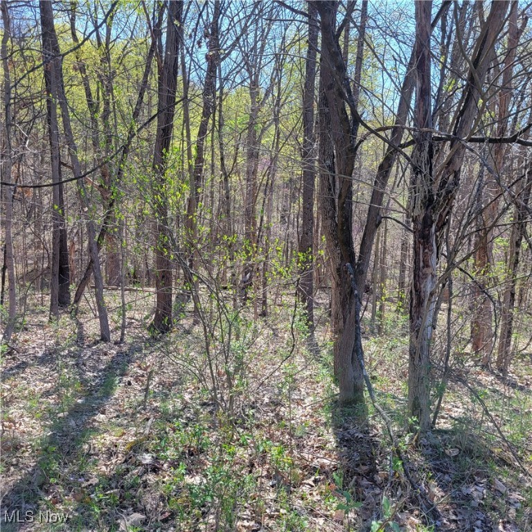 54780 Opossum Run Road #17,259,260, Senecaville, Ohio image 15