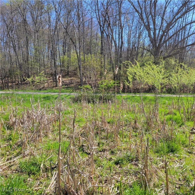54780 Opossum Run Road #17,259,260, Senecaville, Ohio image 21