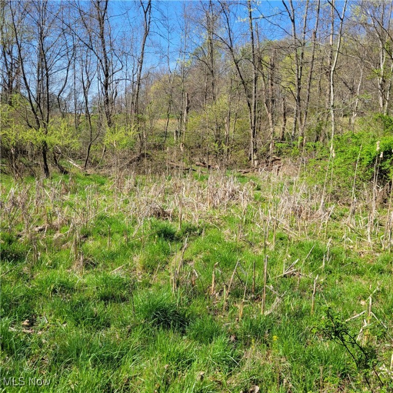 54780 Opossum Run Road #17,259,260, Senecaville, Ohio image 27