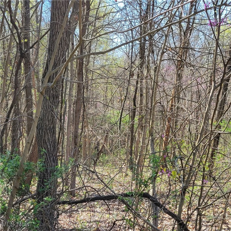 54780 Opossum Run Road #17,259,260, Senecaville, Ohio image 10