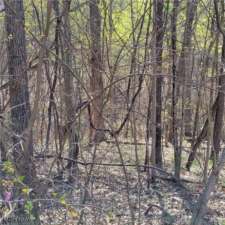 54780 Opossum Run Road #17,259,260, Senecaville, Ohio image 12