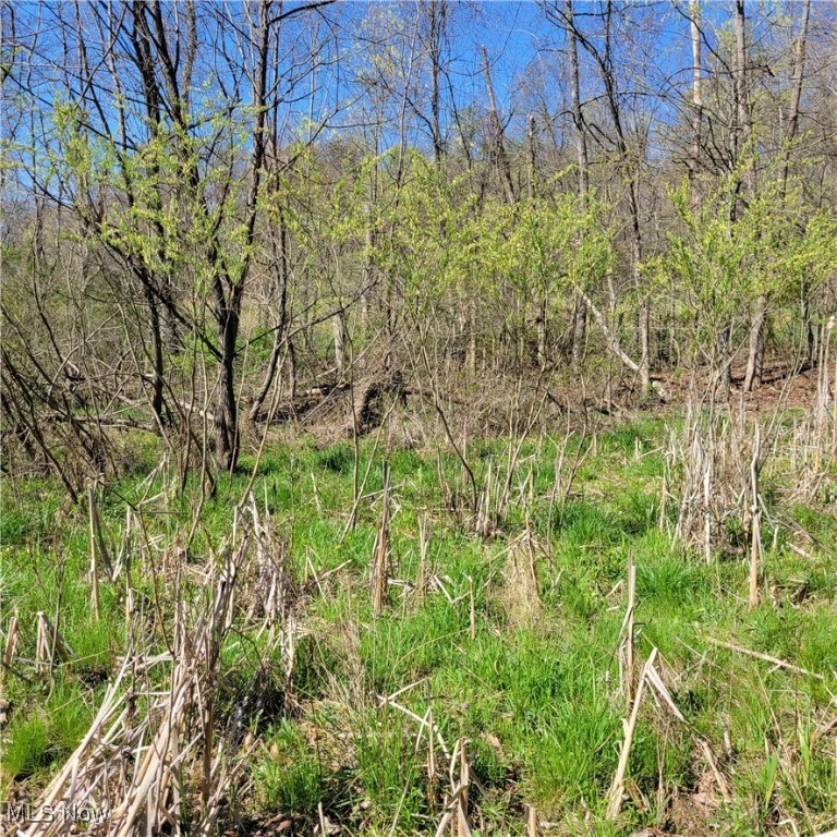 54780 Opossum Run Road #17,259,260, Senecaville, Ohio image 22