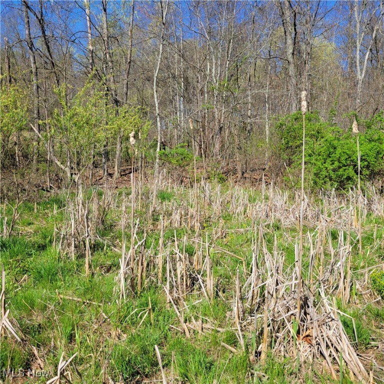 54780 Opossum Run Road #17,259,260, Senecaville, Ohio image 24