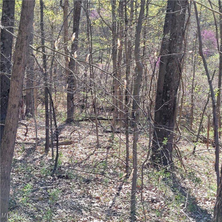 54780 Opossum Run Road #17,259,260, Senecaville, Ohio image 8