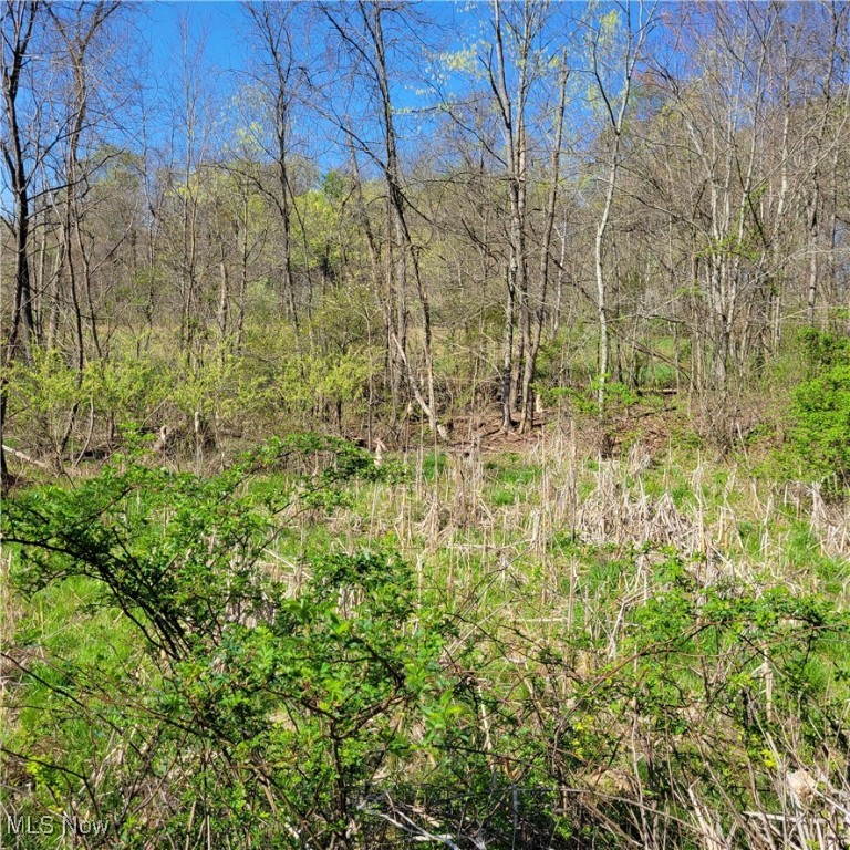54780 Opossum Run Road #17,259,260, Senecaville, Ohio image 26