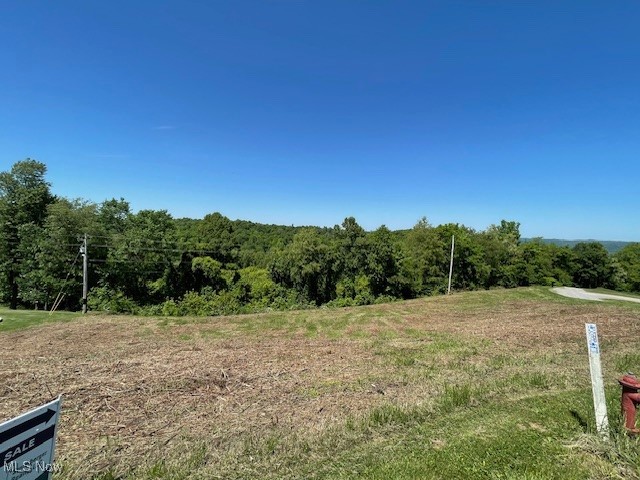 Lot 2 Country Boulevard, Clarington, Ohio image 2