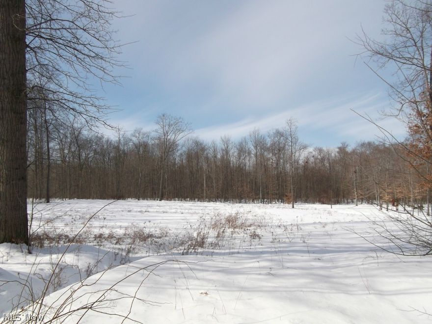 Over 8 wooded acres of privacy to build your dream home!!!  Call today for more details.