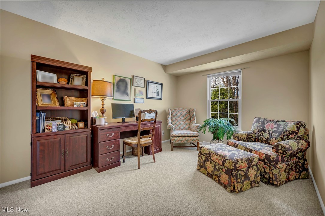 8116 Independence Drive, Mentor, Ohio image 23