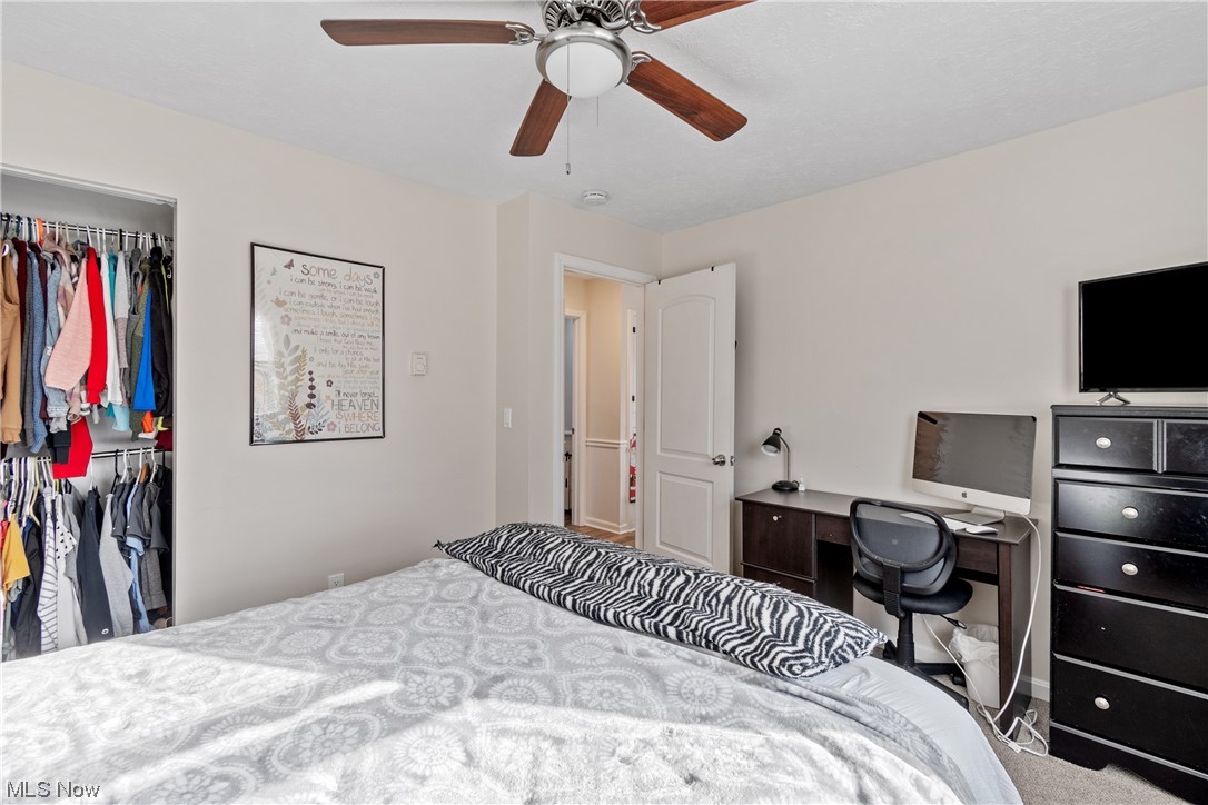 Findley Forest Meadows - Residential