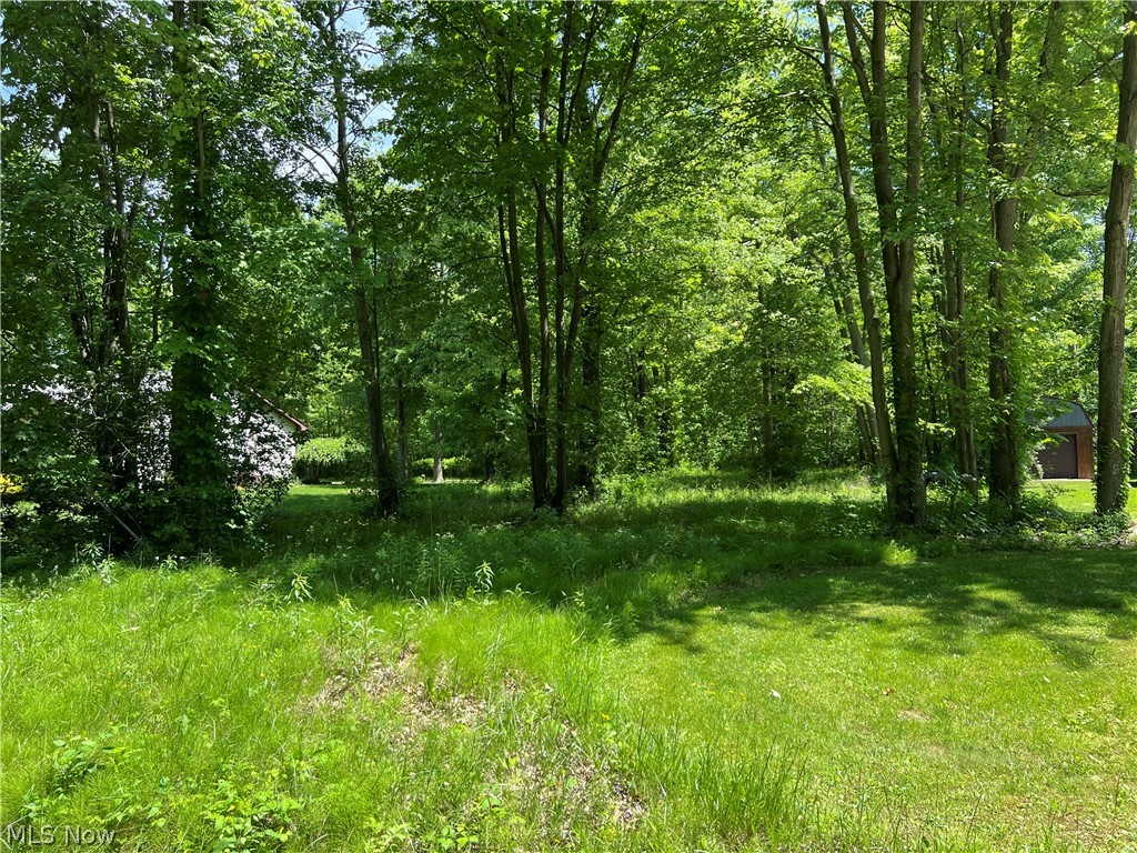 Shadyside Avenue #LOT 2, Ashtabula, Ohio image 1