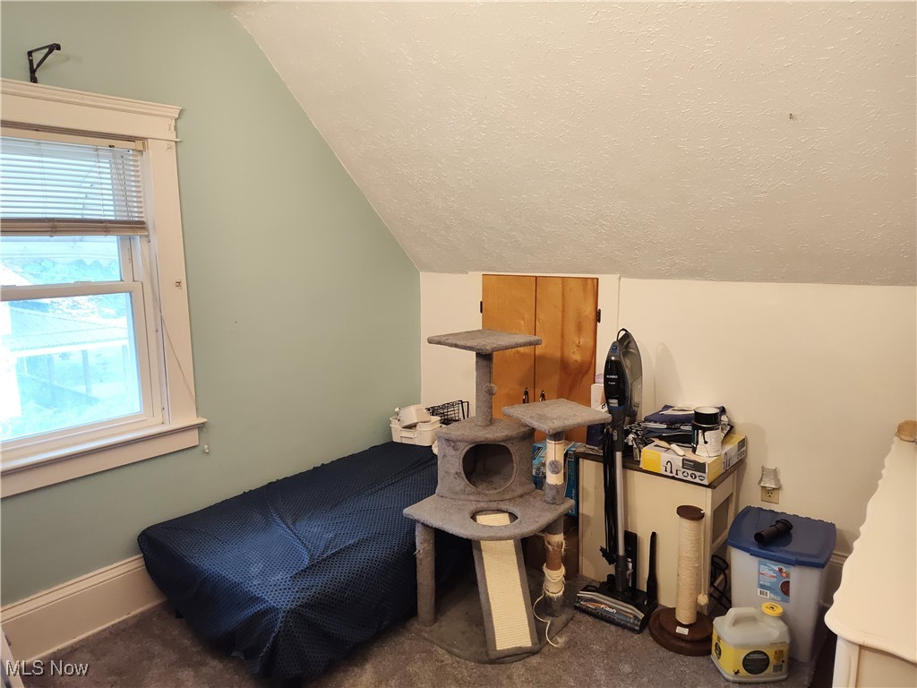 40 Chestnut Street, Geneva, Ohio image 36