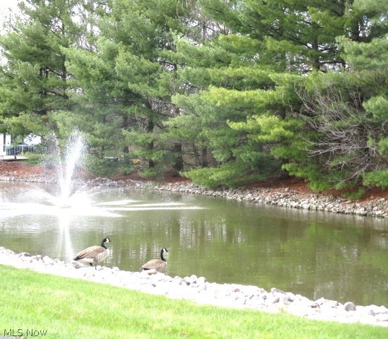 Woodfield Condo - Residential