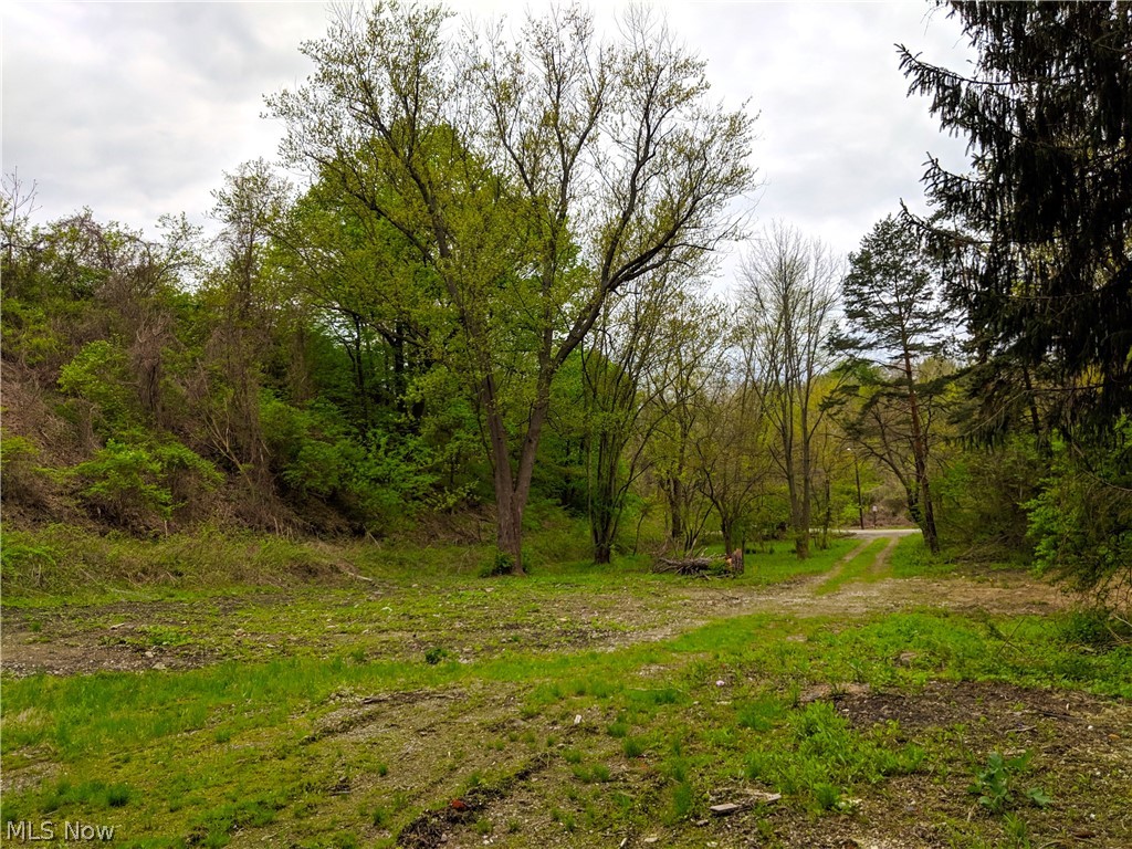 Sail to Canada!
Beautiful .84 buildable acres in historic Painesville Twp located on a private cul-de-sac just off of the longest road in the U.S. (Route 20) and is a 1/2 mile South of State Route 2. This secluded location is only 5 minutes from Lake Erie College in Downtown Painesville. The Grand River is a mere 50 feet from the property and is 1 of only 3 Ohio rivers designated "Wild" & "Scenic". Limitless opportunities await including (but not limited to): kayaking, boating, and fishing. Plenty of potential to build in a private and great location.