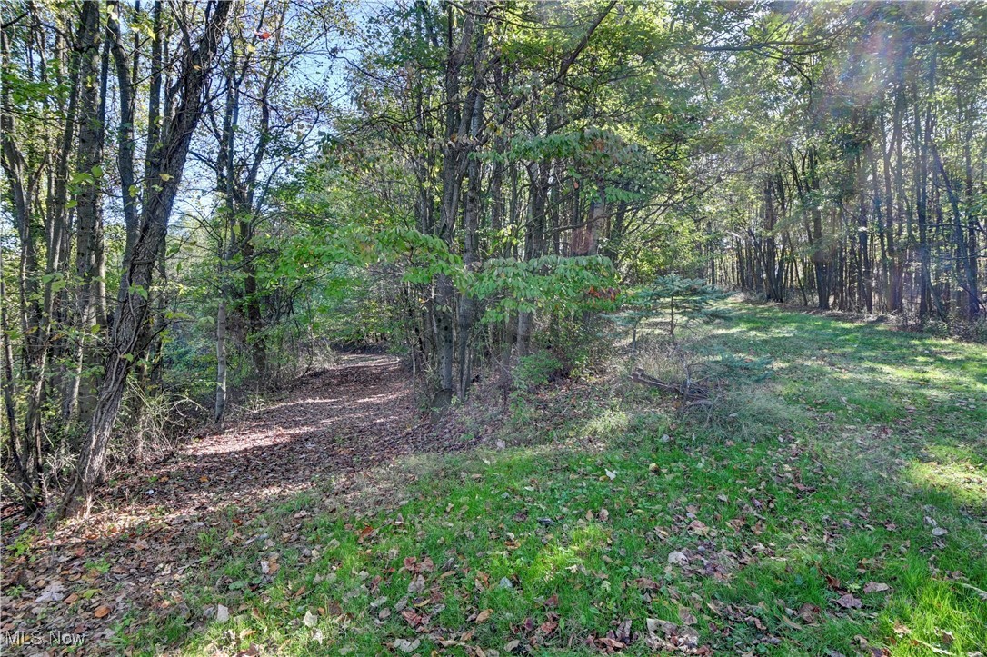 True Place - Residential