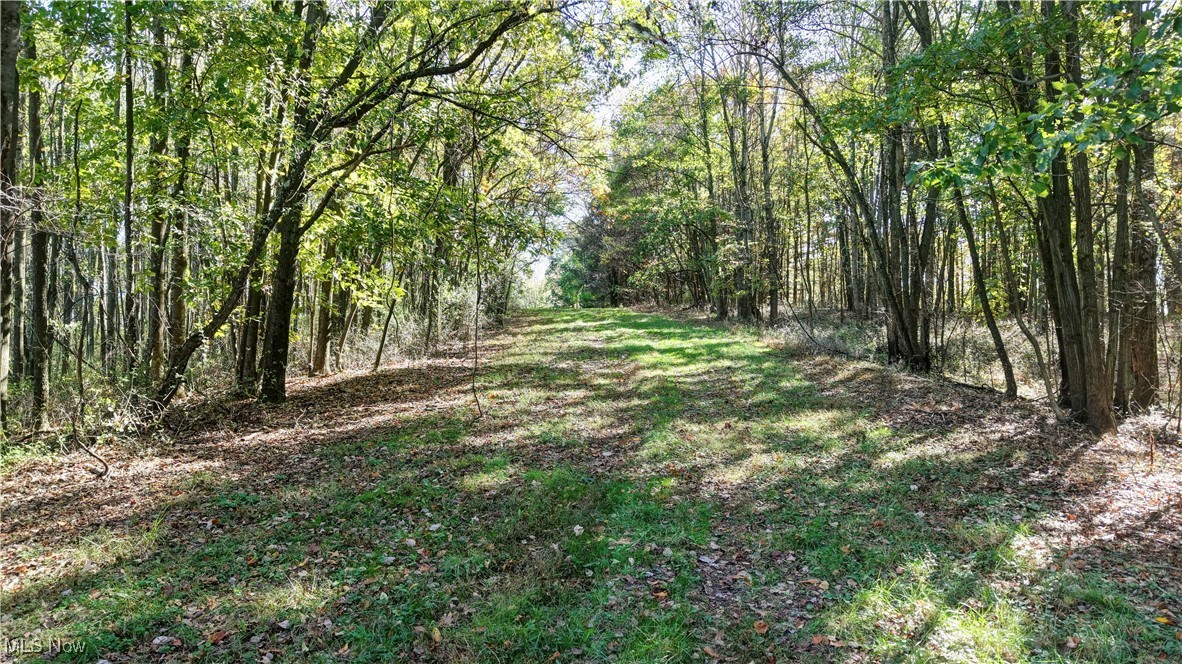 True Place - Residential