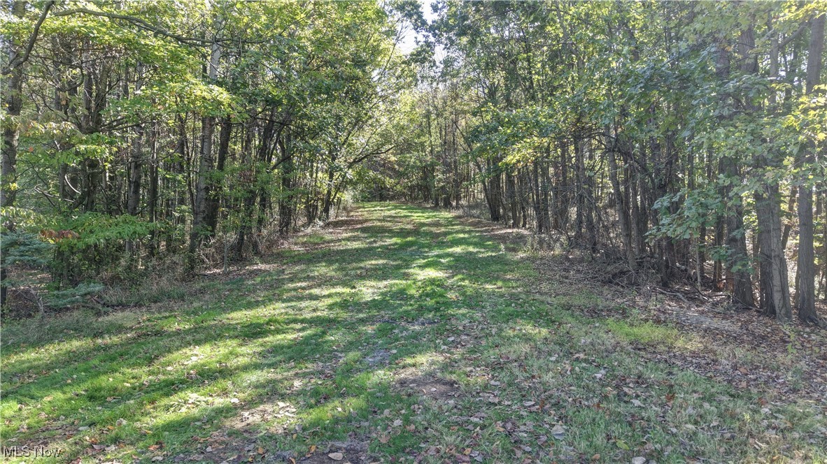 True Place - Residential