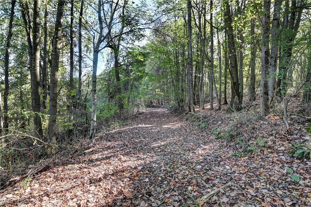 True Place - Residential