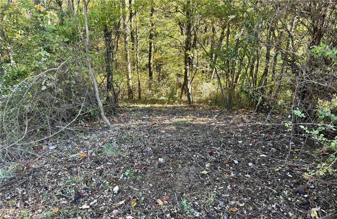 True Place - Residential