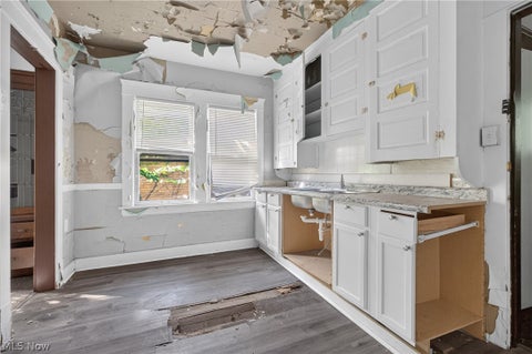 Tiny photo for 1416 E 110th Street, Cleveland, OH 44106 (MLS # 5246071)