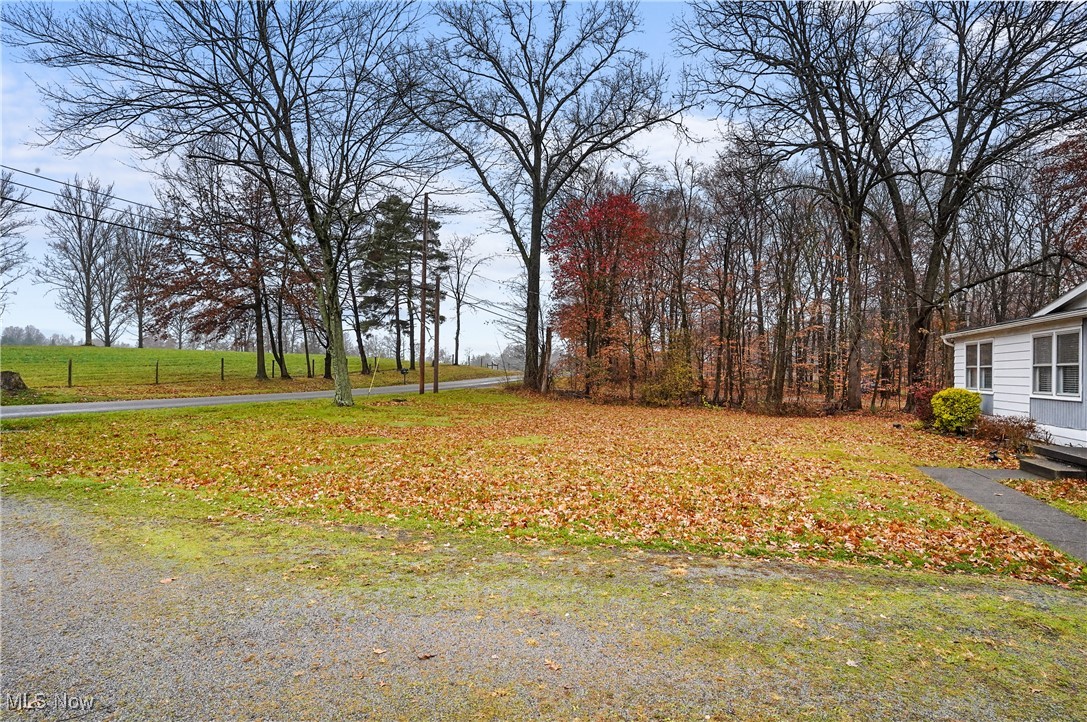 41642 Metz Road, Columbiana, Ohio image 38