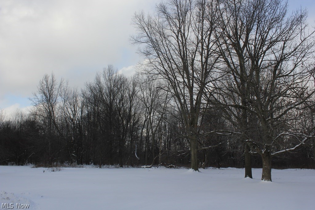 Hillside Country Estates Prop - Residential Lease