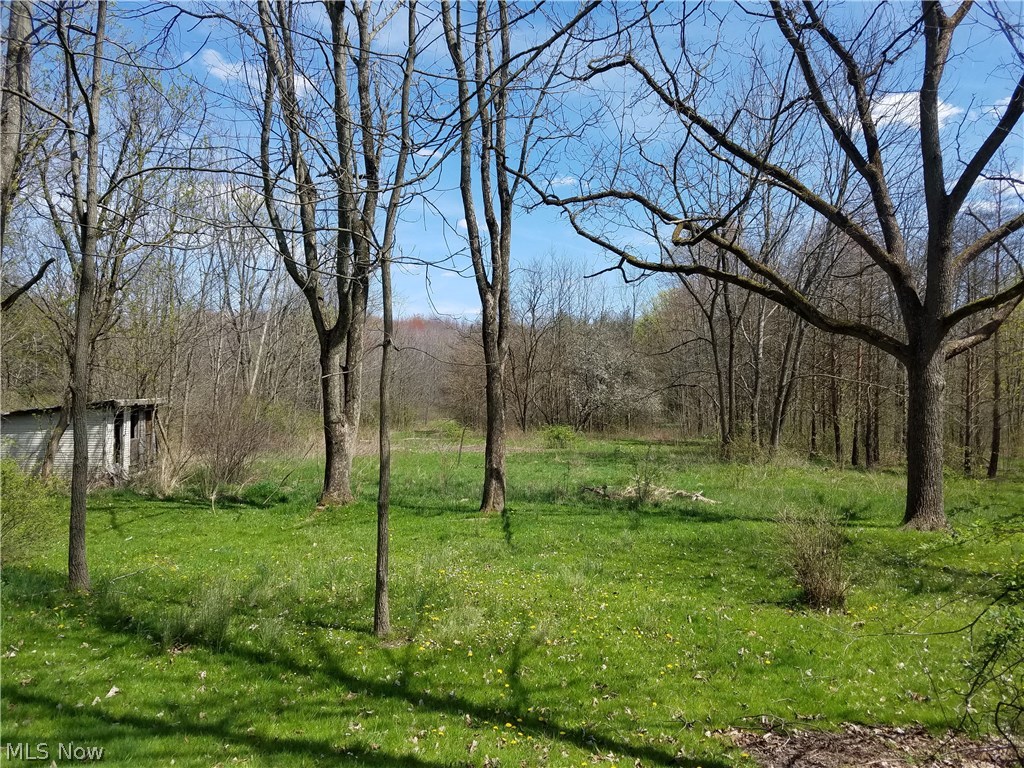 Township/Howland Sec 44 - Residential