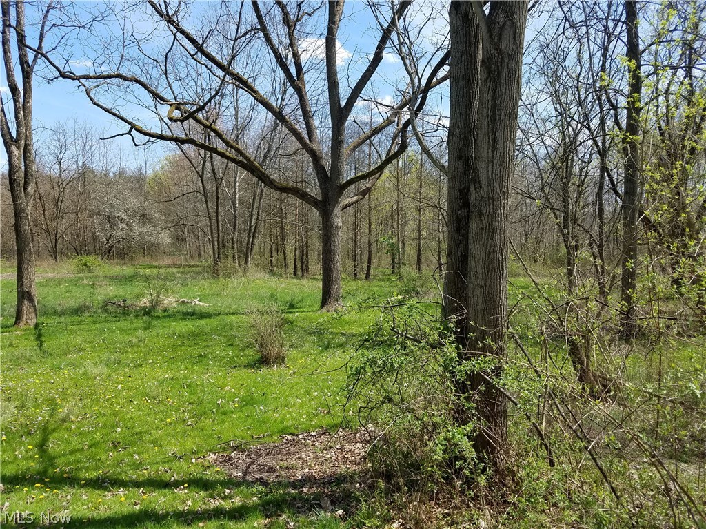 Township/Howland Sec 44 - Residential