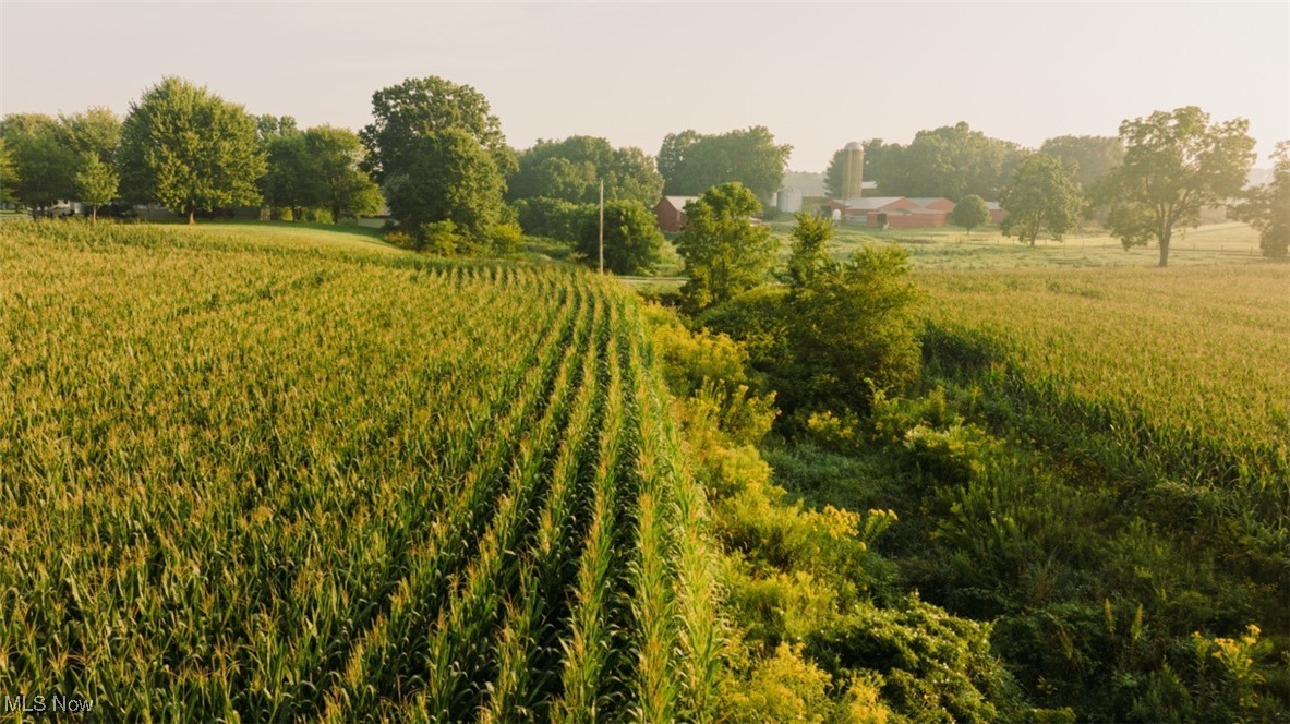 Huprick Road, North Lawrence, Ohio image 9