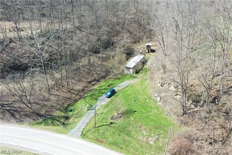 Vacant Land For Sale - 24618 S Calhoun Highway<br/> Chloe, WV 25235
