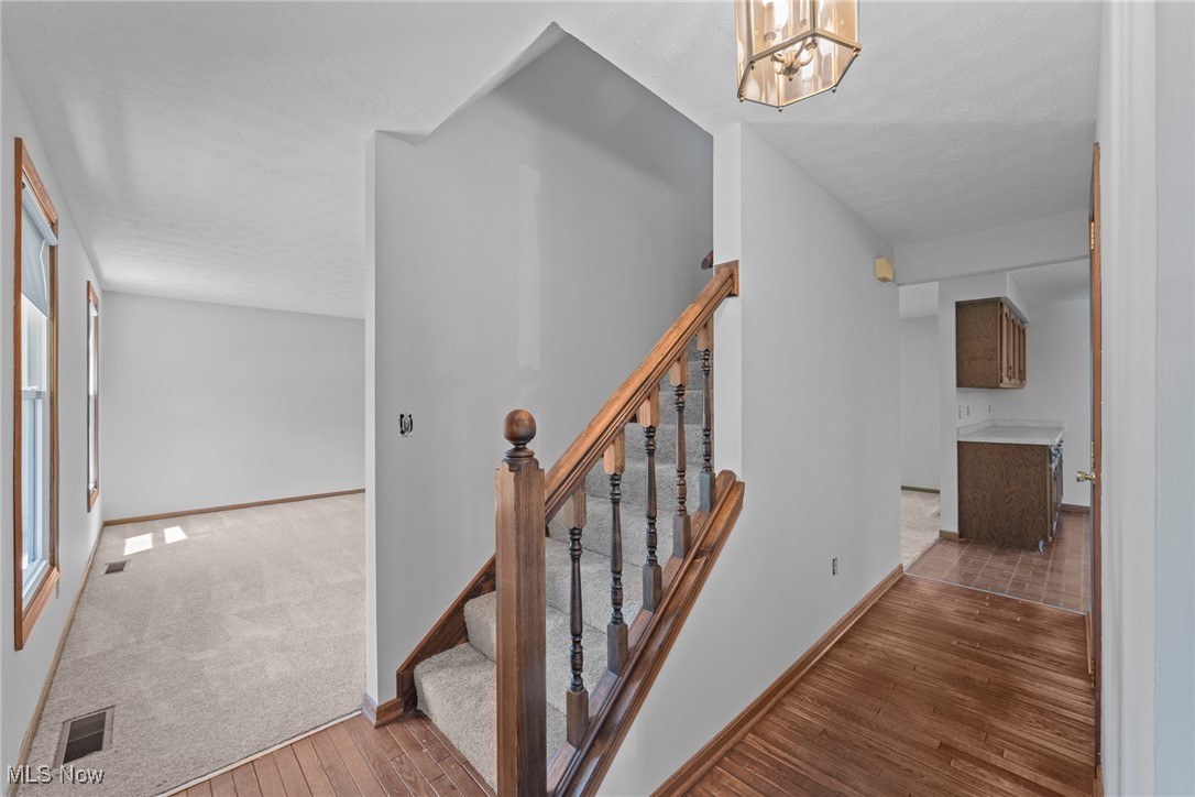 7124 Hollyhock Lane