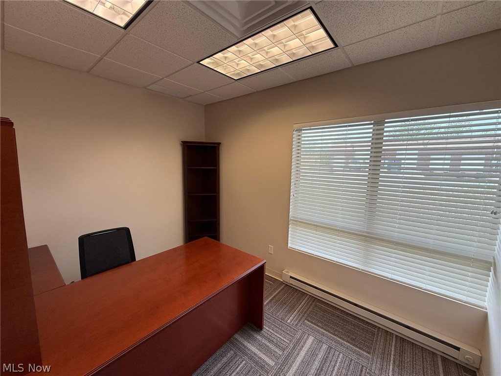 31320 Solon Road 19