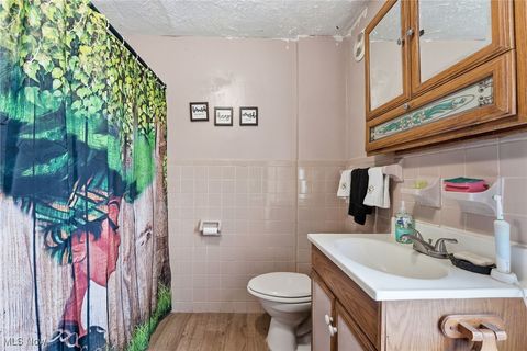 Tiny photo for 2240 12th Street SW, Akron, OH 44314 (MLS # 5179060)