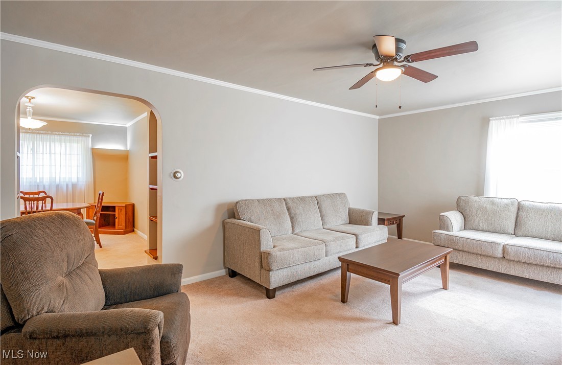 Wayne Park - Residential