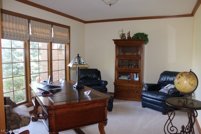 Aldawood Hills - Residential