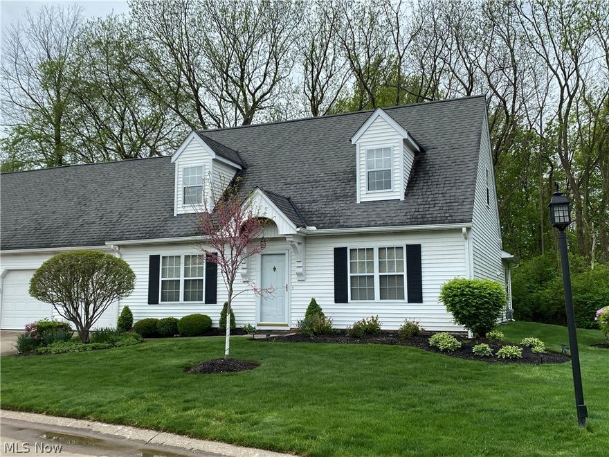 Easy Living in this well maintained 2000 square foot condo in New Haven Colony. 3/4 bedroom with the master bedroom and walk in closet on the first floor. Large eat-in kitchen. with plenty of cabinetry and countertop. 27 ft great room/family room with vaulted ceilings, tons of windows and gas fireplace. Second floor with 2 large bedrooms, full bath and a 19 x 14 bonus room. Storage and closets Galore in the beautiful Cape. Fenced patio overlooks wooded green space. 2 car attached garage. Updates include; furnace 2019, central air 2018, some carpets 2020, 18 window panes replaced 2020.