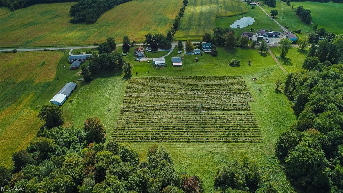 Village/Lakeville - Residential