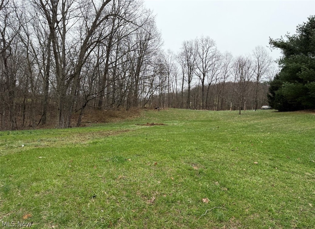 Chandlersville Road - Residential