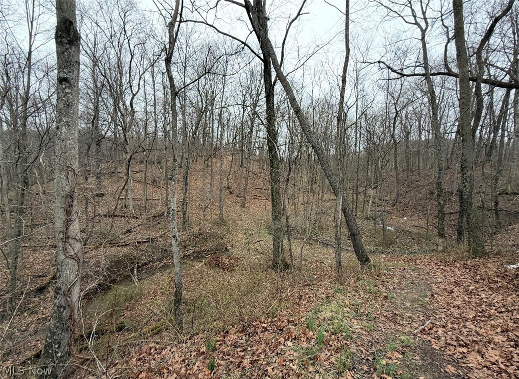 Chandlersville Road - Residential