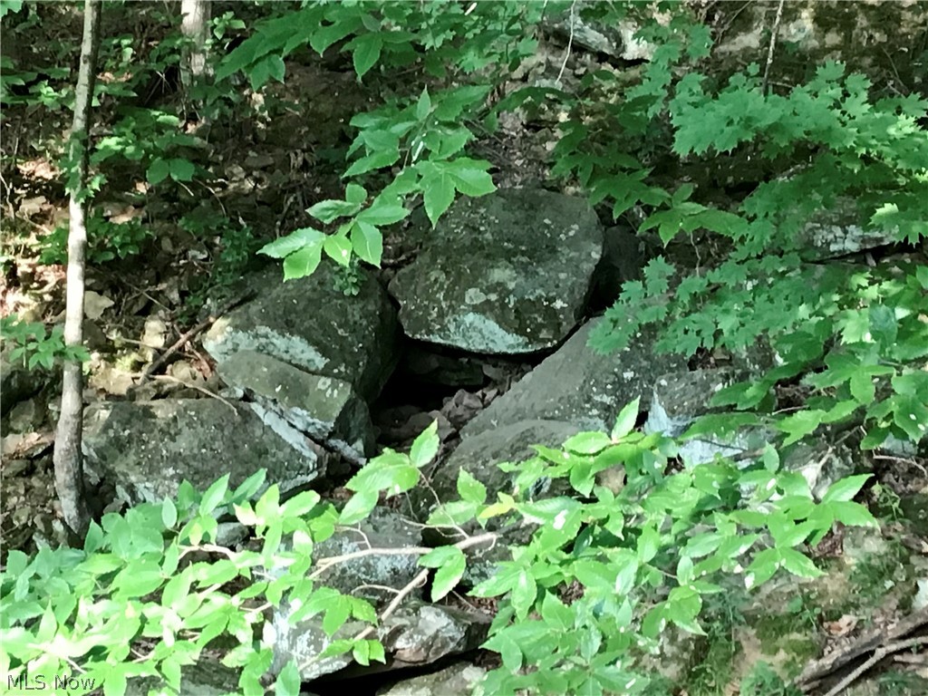 LAKE BUCKHORN - Residential