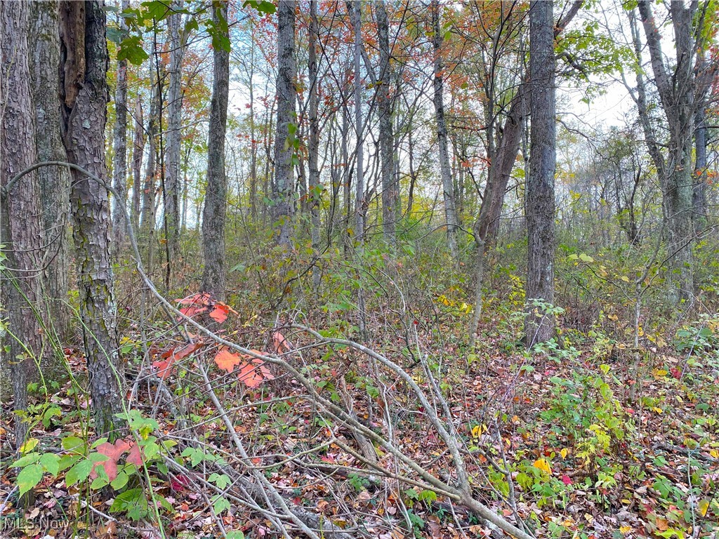 Toker Road, Hopedale, Ohio image 17